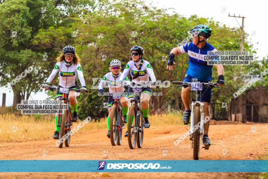 Rota das Capelas de Mandaguaçu