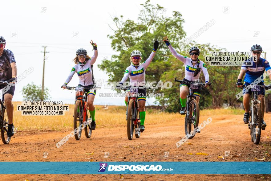 Rota das Capelas de Mandaguaçu