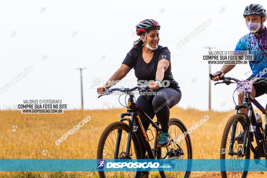 Rota das Capelas de Mandaguaçu