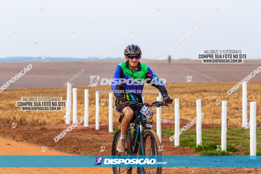 Rota das Capelas de Mandaguaçu