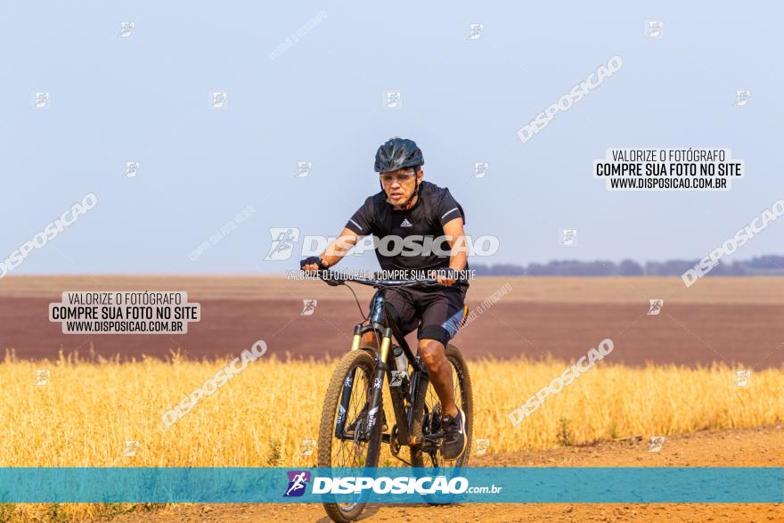 Rota das Capelas de Mandaguaçu