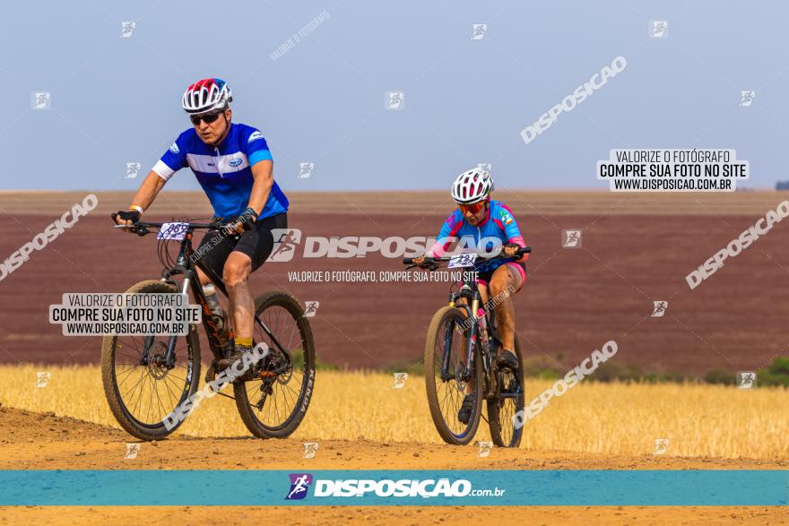 Rota das Capelas de Mandaguaçu