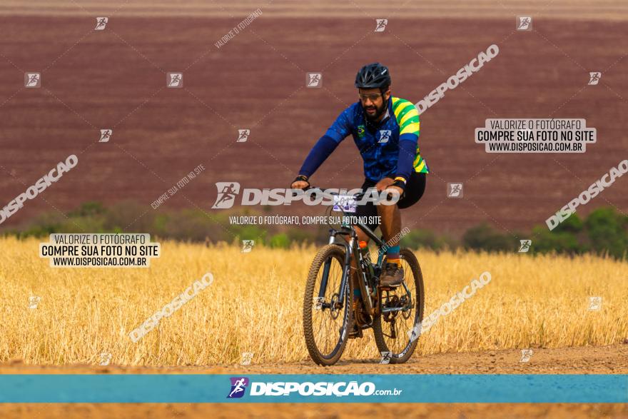 Rota das Capelas de Mandaguaçu