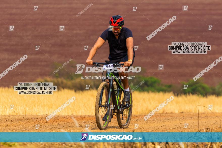 Rota das Capelas de Mandaguaçu