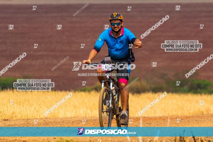 Rota das Capelas de Mandaguaçu