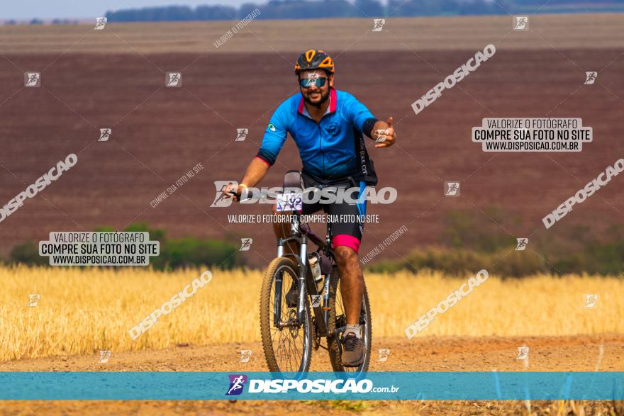 Rota das Capelas de Mandaguaçu