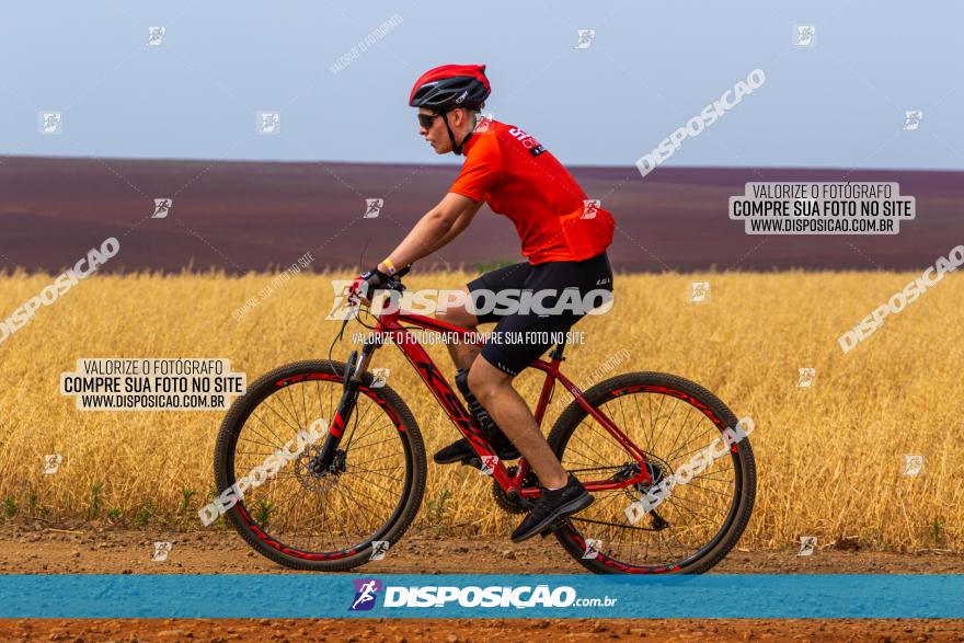 Rota das Capelas de Mandaguaçu