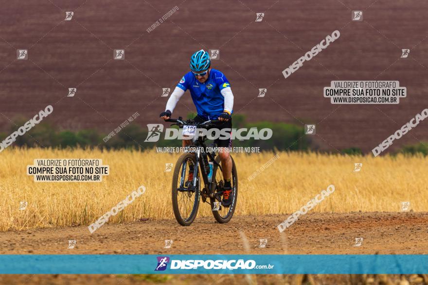 Rota das Capelas de Mandaguaçu