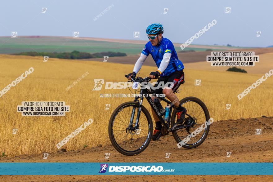 Rota das Capelas de Mandaguaçu