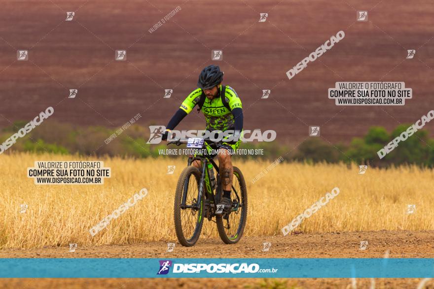 Rota das Capelas de Mandaguaçu