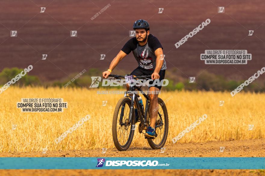 Rota das Capelas de Mandaguaçu