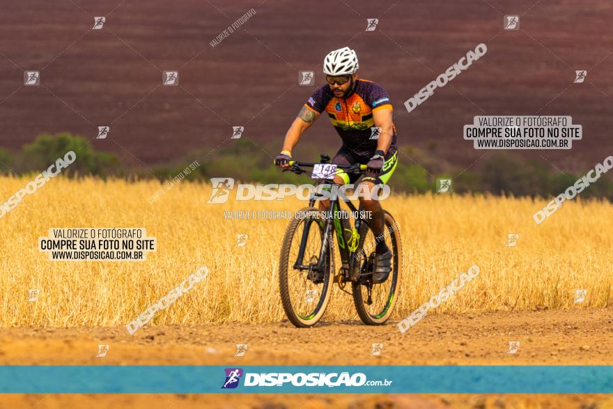 Rota das Capelas de Mandaguaçu