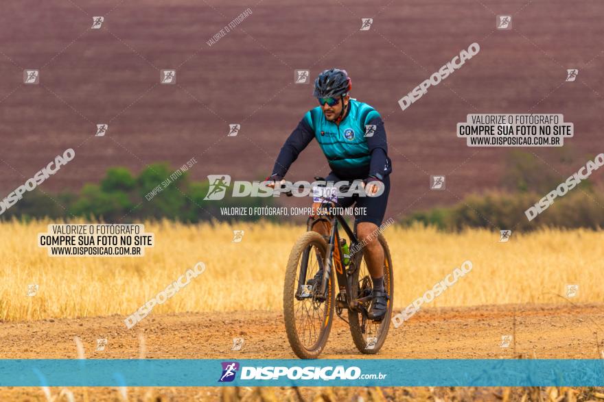 Rota das Capelas de Mandaguaçu