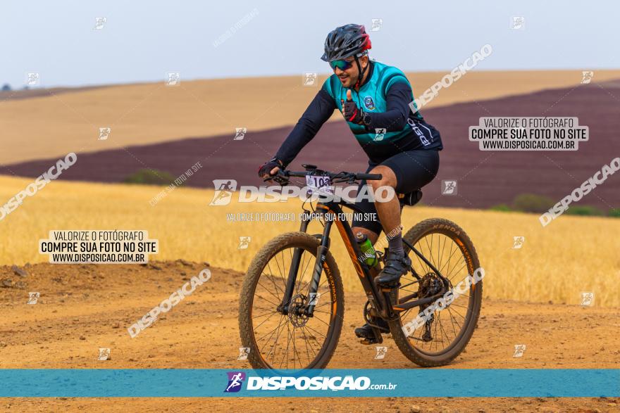 Rota das Capelas de Mandaguaçu