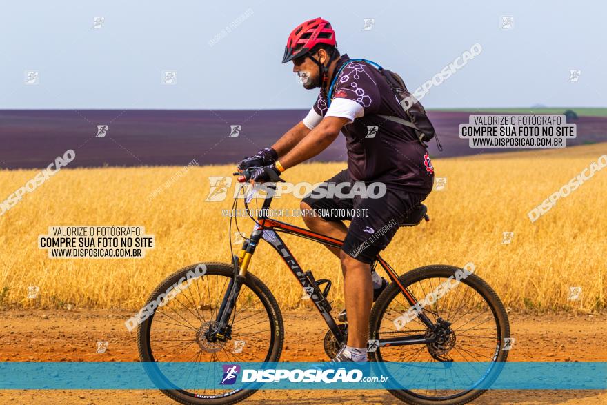 Rota das Capelas de Mandaguaçu