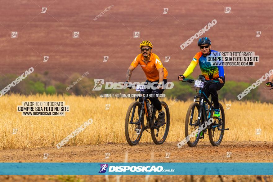 Rota das Capelas de Mandaguaçu