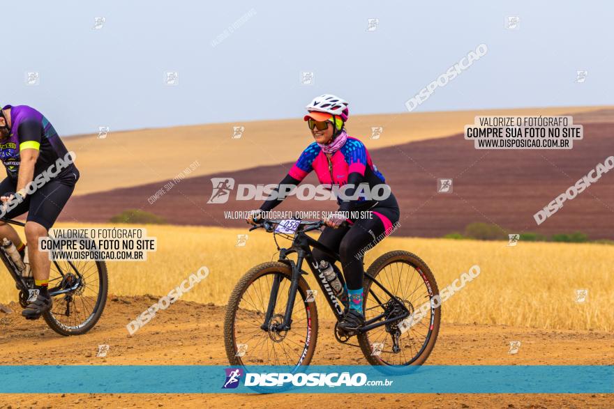 Rota das Capelas de Mandaguaçu