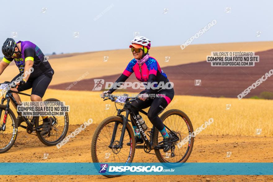 Rota das Capelas de Mandaguaçu