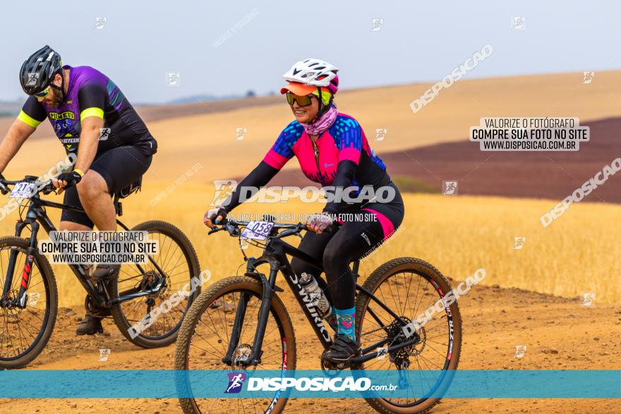 Rota das Capelas de Mandaguaçu