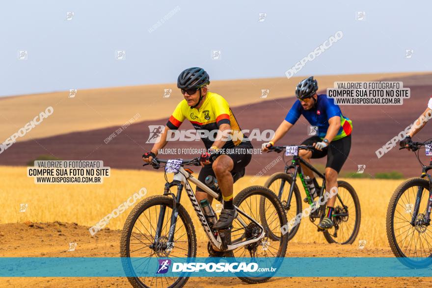 Rota das Capelas de Mandaguaçu