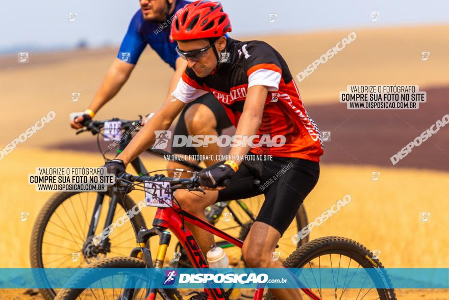 Rota das Capelas de Mandaguaçu