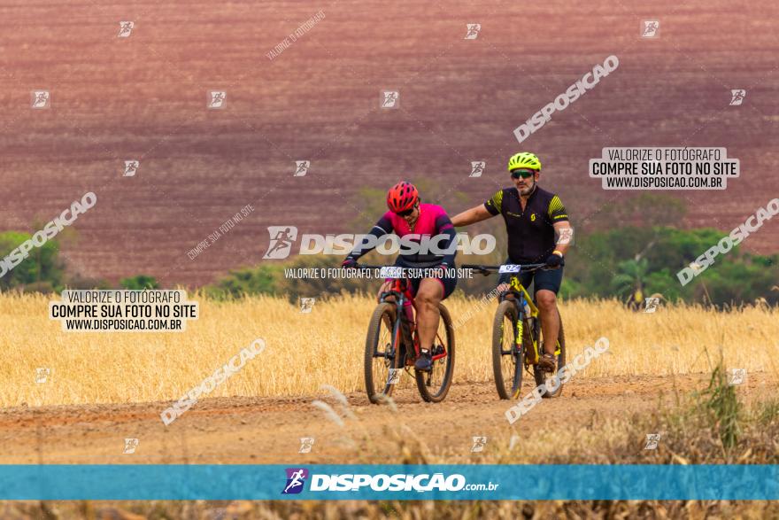 Rota das Capelas de Mandaguaçu