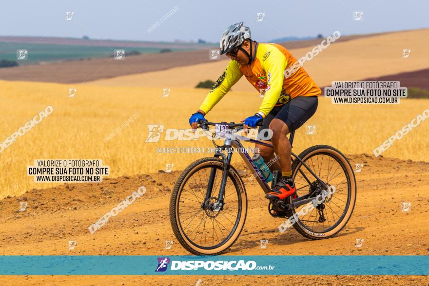 Rota das Capelas de Mandaguaçu