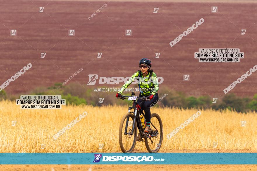 Rota das Capelas de Mandaguaçu