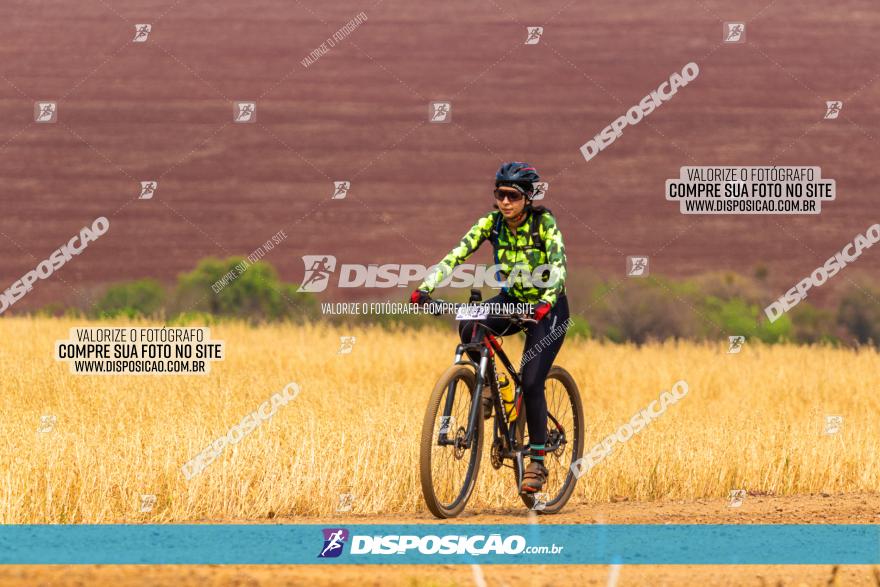 Rota das Capelas de Mandaguaçu