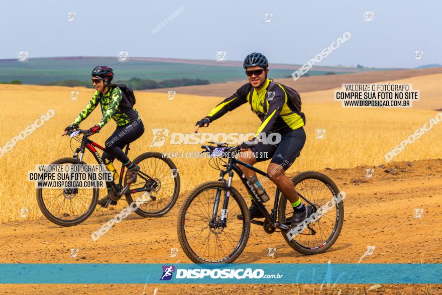 Rota das Capelas de Mandaguaçu