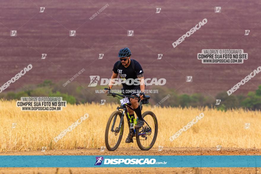 Rota das Capelas de Mandaguaçu