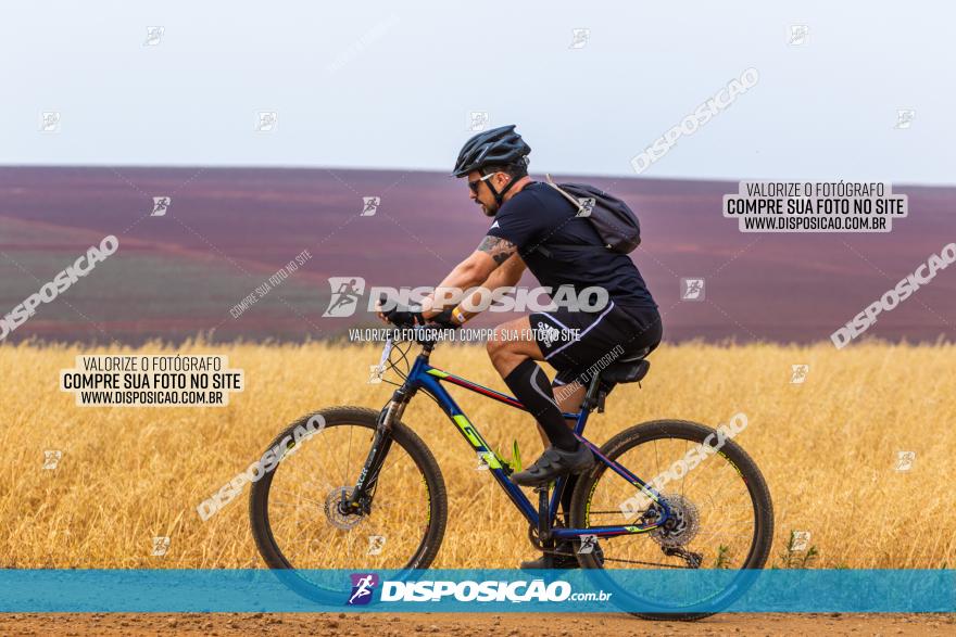 Rota das Capelas de Mandaguaçu