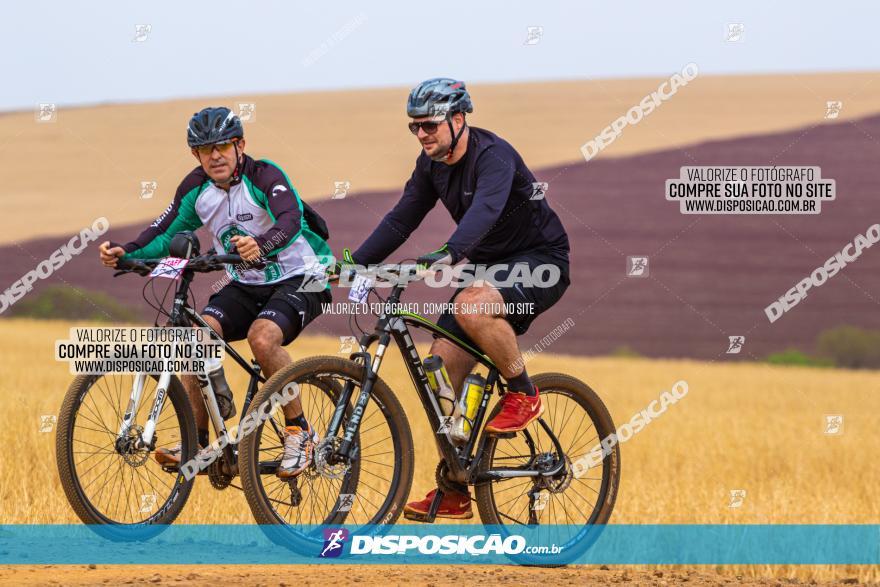 Rota das Capelas de Mandaguaçu