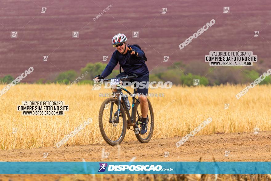 Rota das Capelas de Mandaguaçu