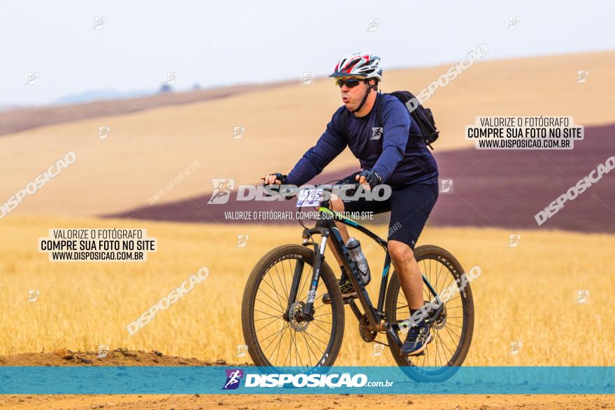 Rota das Capelas de Mandaguaçu