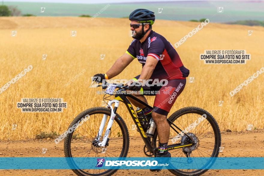 Rota das Capelas de Mandaguaçu