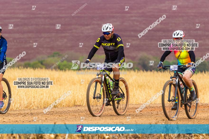 Rota das Capelas de Mandaguaçu