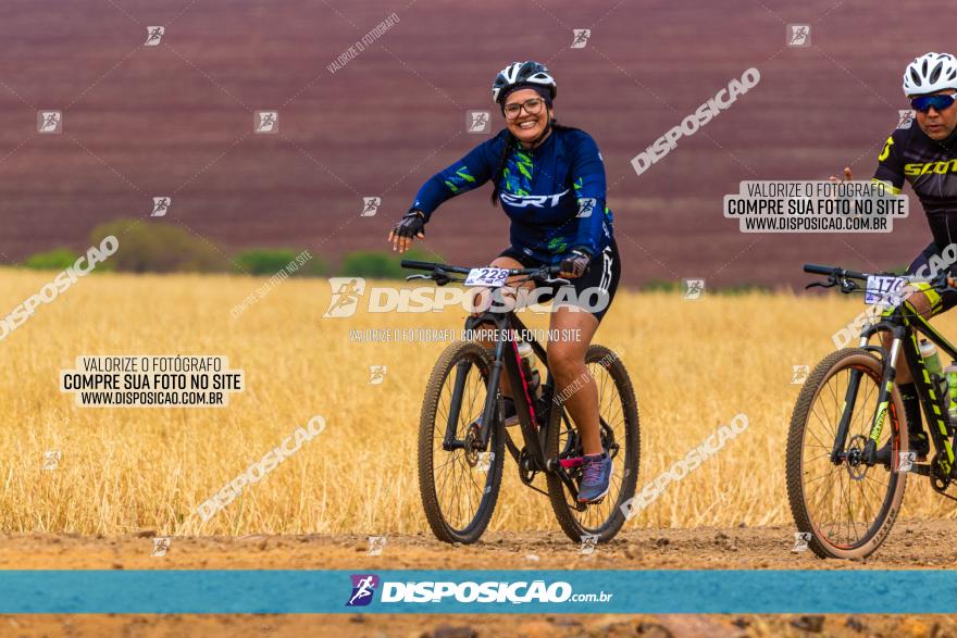 Rota das Capelas de Mandaguaçu