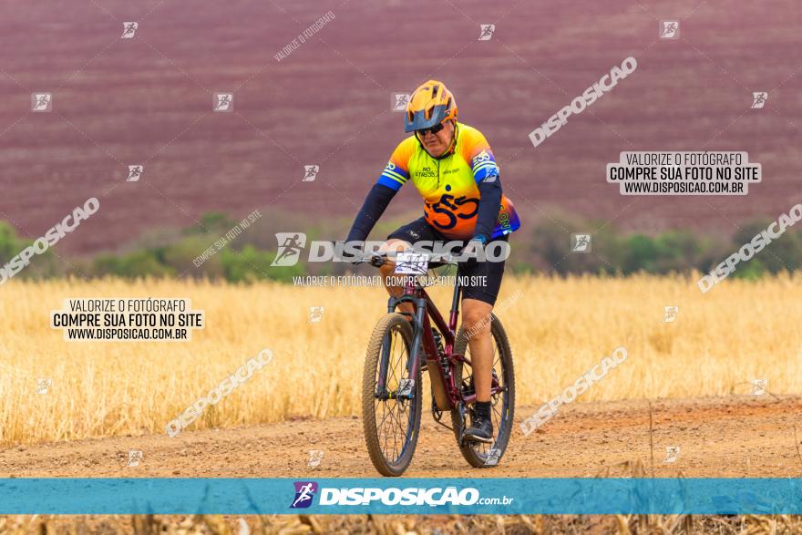 Rota das Capelas de Mandaguaçu