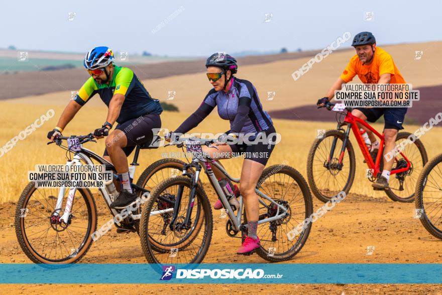 Rota das Capelas de Mandaguaçu