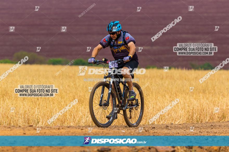 Rota das Capelas de Mandaguaçu