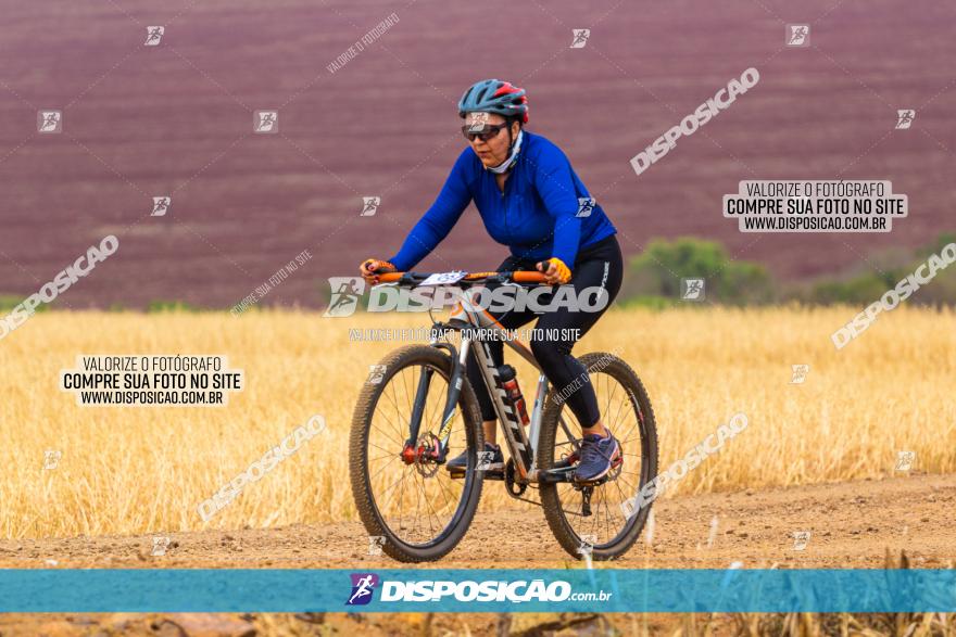 Rota das Capelas de Mandaguaçu