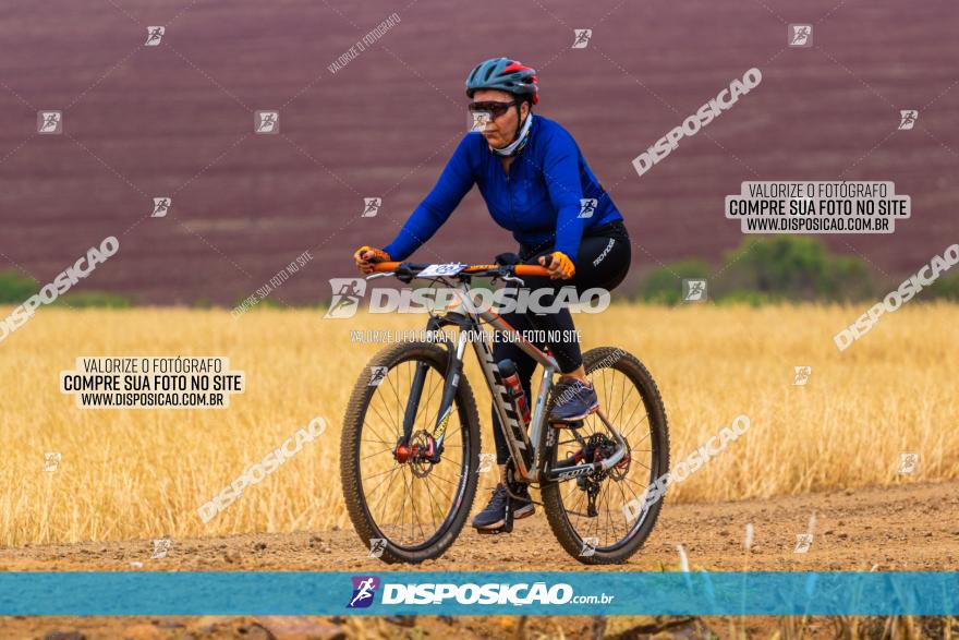 Rota das Capelas de Mandaguaçu