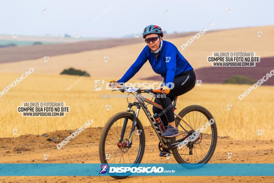 Rota das Capelas de Mandaguaçu