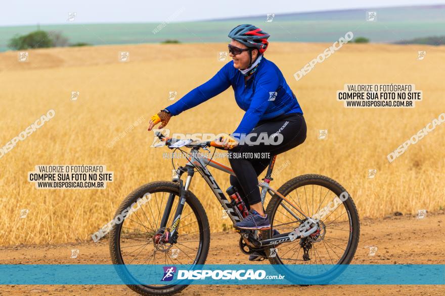 Rota das Capelas de Mandaguaçu