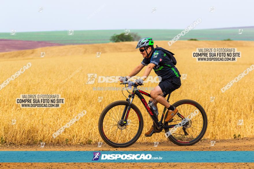 Rota das Capelas de Mandaguaçu