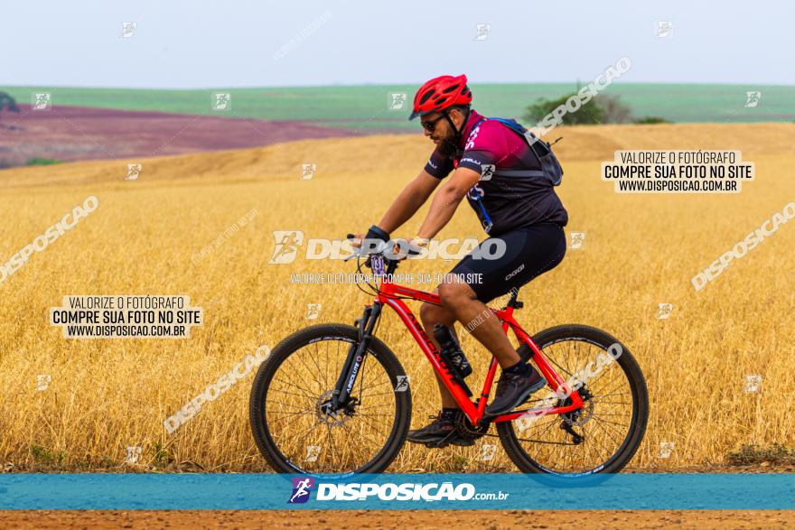 Rota das Capelas de Mandaguaçu