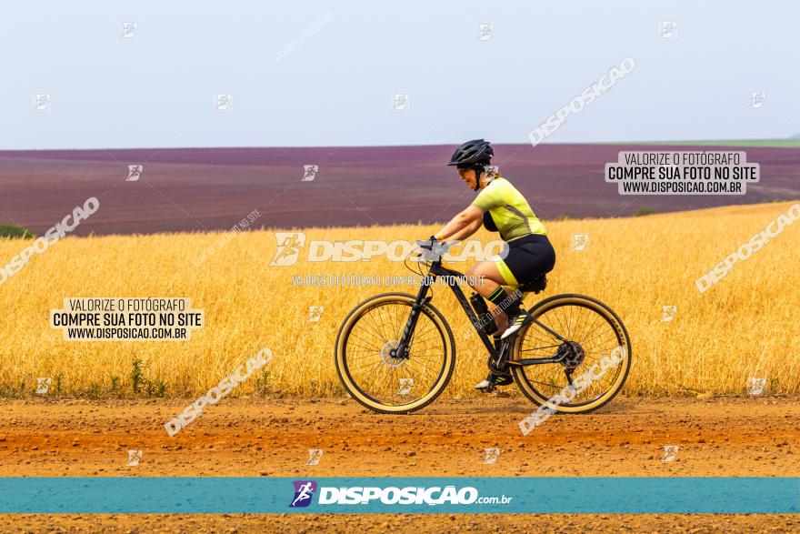 Rota das Capelas de Mandaguaçu