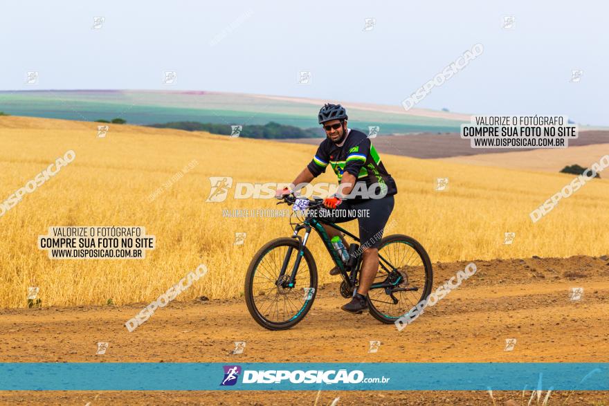 Rota das Capelas de Mandaguaçu