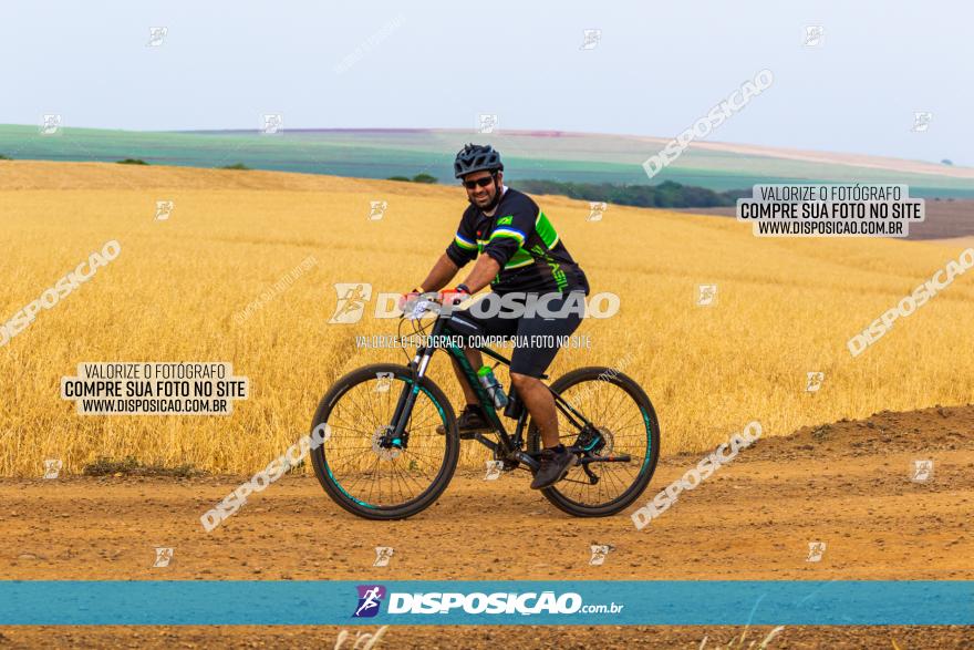 Rota das Capelas de Mandaguaçu